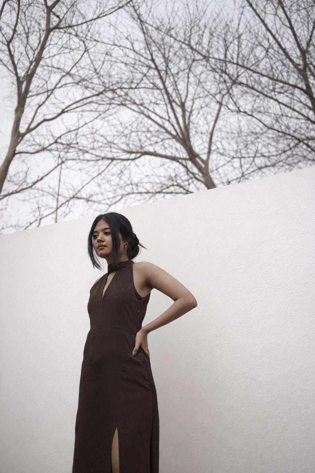 Espresso Maxi Dress
